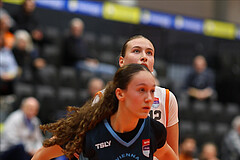 Basketball Damen Supercup 2024/25, 4.Runde BK Duchess Klosterneuburg vs. Vienna Timberwolves


