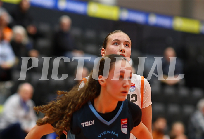 Basketball Damen Supercup 2024/25, 4.Runde BK Duchess Klosterneuburg vs. Vienna Timberwolves


