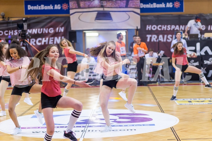 13.03.2016 Basketball
ABL All Star Day 2016 13.03.2016 Basketball
ABL All Star Day 2016