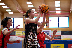 Basketball Superliga 2024/25, SLMU16 Traiskirchen Lionesses vs. VKL Vikings Kammer


