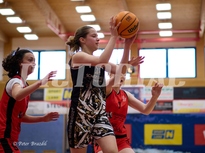 Basketball Superliga 2024/25, SLMU16 Traiskirchen Lionesses vs. VKL Vikings Kammer



