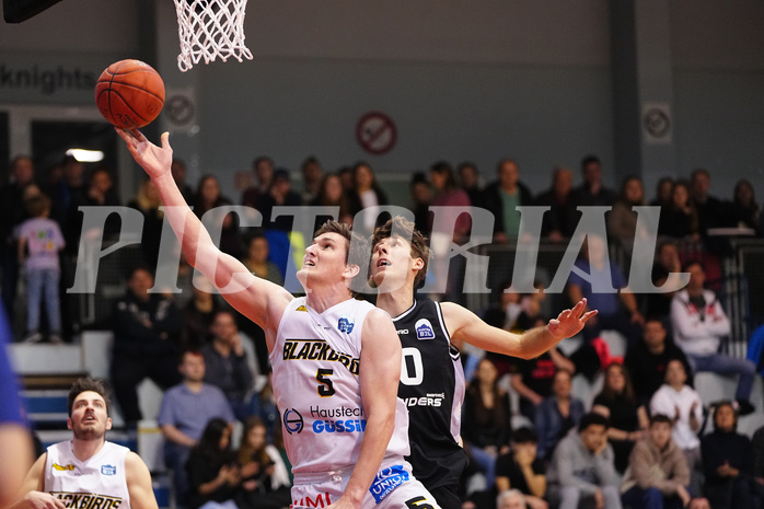 Basketball 2. Liga 2022/23, Grunddurchgang 16.Runde , Guessing vs. Tirol