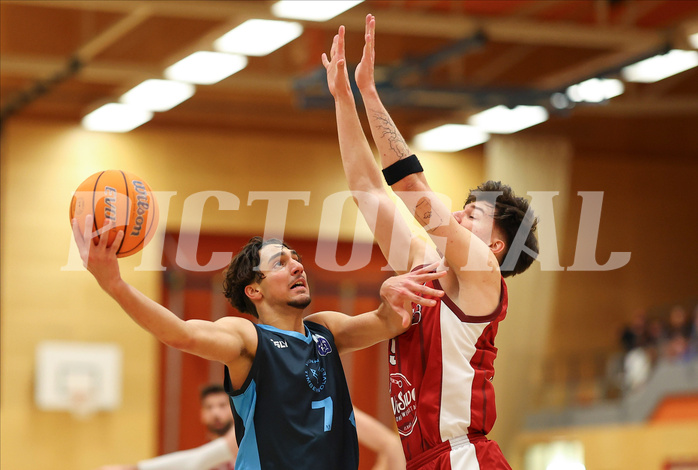 Basketball Zweite Liga 2024/25, Grunddurchgang 15.Runde Mistelbach Mustangs vs. Vienna Timberwolves