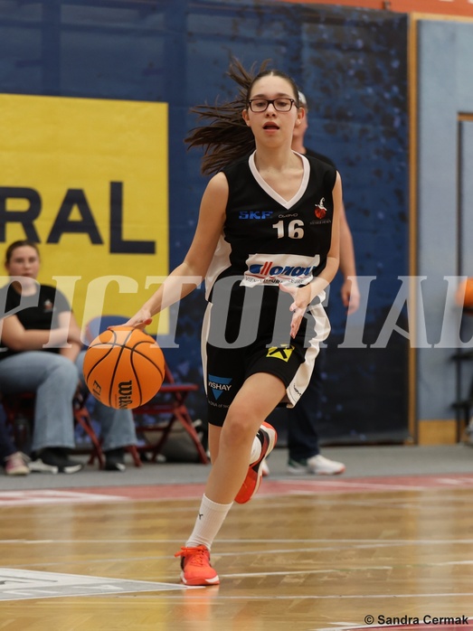 Basketball Superliga 2024/25, SLWU16 Traiskirchen Lionesses vs. DBK Steyrer Witch Cadets


