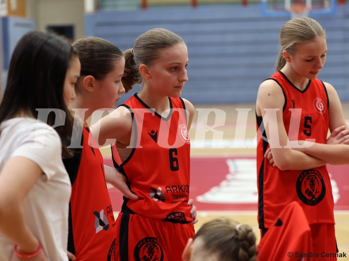 Basketball Superliga 2024/25, SLWU14 Traiskirchen Lionesses vs. UBI Graz


