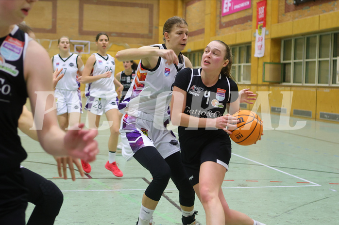 Basketball Damen Superliga 2023/24, Grunddurchgang 10.Runde Vienna United vs. Basket Flames
