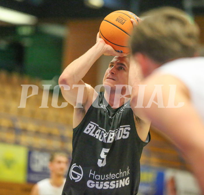 Basketball Zweite Liga 2024/25, Grunddurchgang 22.Runde Upper Austrian Ballers vs. Güssing Blackbirds


