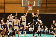 Basketball Zweite Liga 2024/25, Grunddurchgang 19.Runde Raiders Tirol vs. BBU Salzburg


