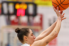 Basketball Damen Supercup 2024/25, 4.Runde BK Duchess Klosterneuburg vs. Vienna Timberwolves


