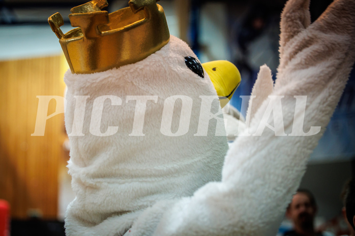 Basketball, Basketball Austria Cup 2022/23, Halbfinale 1, Oberwart Gunners, Gmunden Swans, #mascot