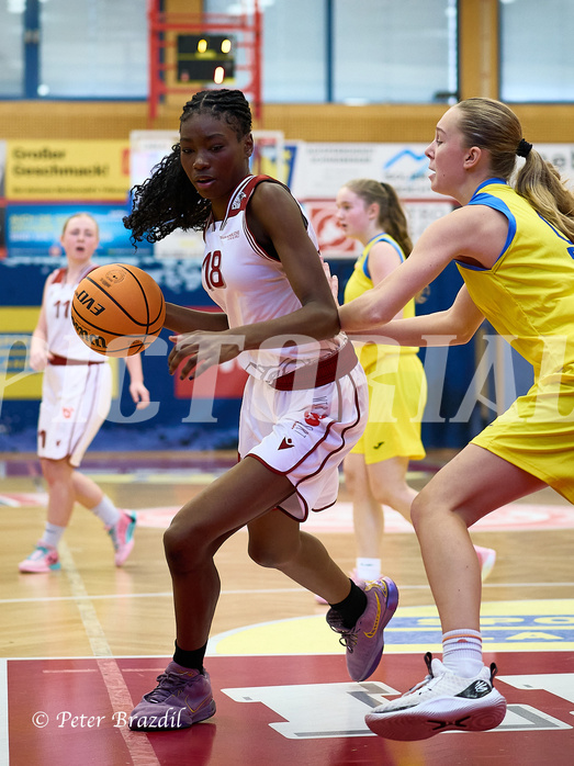 Basketball Superliga 2024/25, SLWU16 Traiskirchen Lionesses vs. UBBC Herzogenburg


