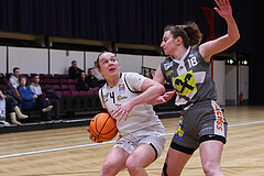Basketball Damen Superliga 2023/24, Grunddurchgang, 13 Runde Basket Flames vs. Duchess Klosterneuburg


