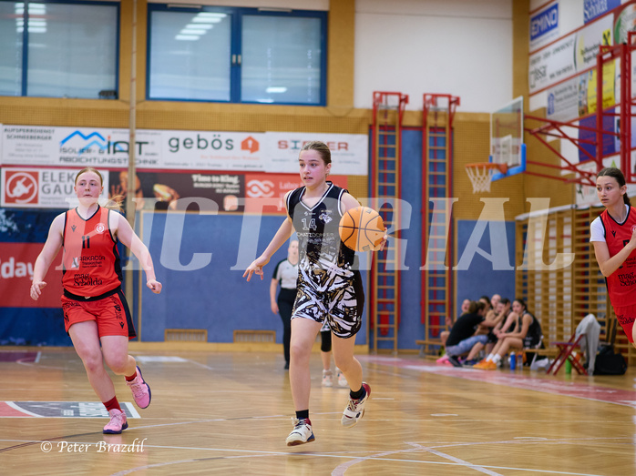 Basketball Superliga 2024/25, SLMU16 Traiskirchen Lionesses vs. VKL Vikings Kammer


