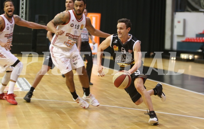 Basketball ABL 2015/16 Grunddurchgang 36.Runde BC Vienna vs. Traiskirchen Lions


