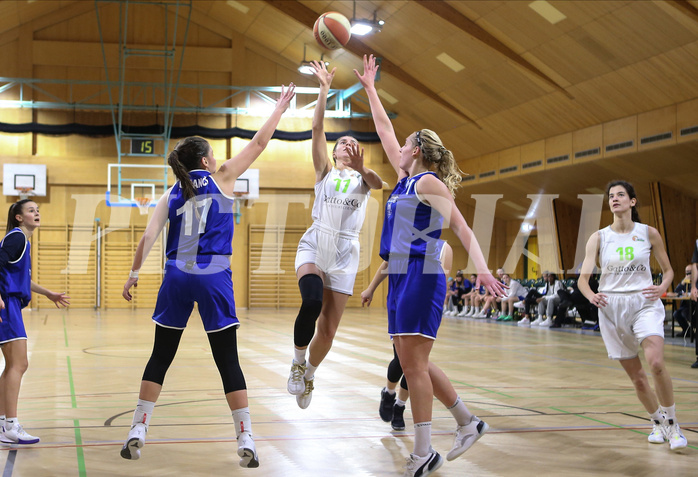 Basketball Dame Superliga 2020/21, Grunddurchgang 5.Runde Basket Flames vs. D.C. Timberwolves


