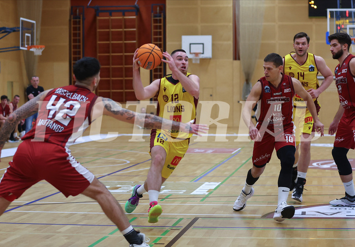 Basketball Zweite Liga 2024/25, Grunddurchgang 9.Runde Mistelbach Mustangs vs. Trasikirchen NextGen


