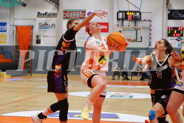 Basketball Damen Superliga 2024/25, Grunddurchgang 10.Runde BK Duchess Klosterneuburg vs. Vienna United


