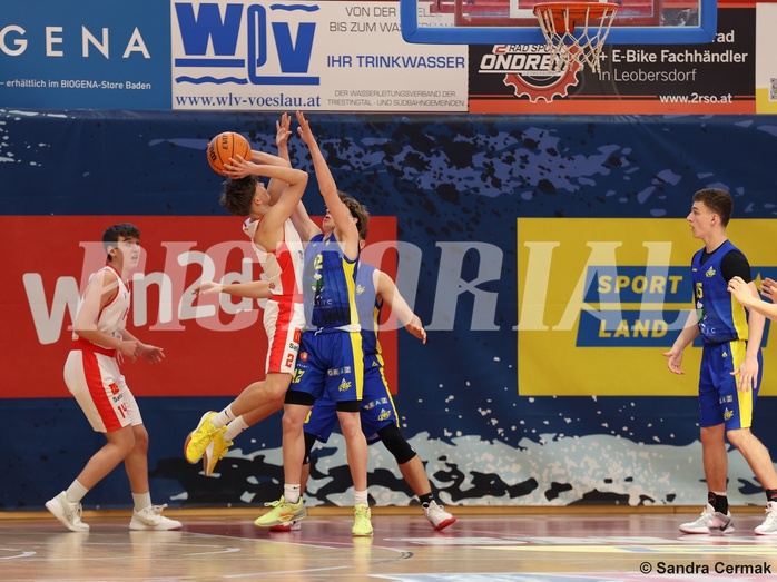 Basketball Superliga 2024/25, SLMU16 Traiskirchen Lions Academy  vs. UBSC Graz 


