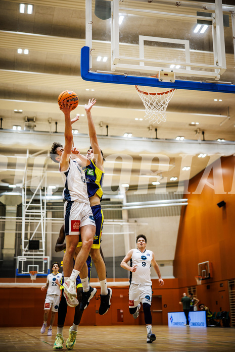 Basketball, Basketball Zweite Liga 2024/25, Grunddurchgang 17.Runde, Vienna Timberwolves, Future Team Steiermark, Jakob Konzet (5)