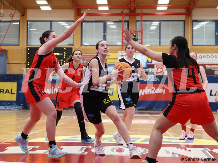 Basketball Superliga 2024/25, SLWU16 Traiskirchen Lionesses vs. DBK Steyrer Witch Cadets


