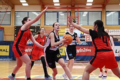 Basketball Superliga 2024/25, SLWU16 Traiskirchen Lionesses vs. DBK Steyrer Witch Cadets



