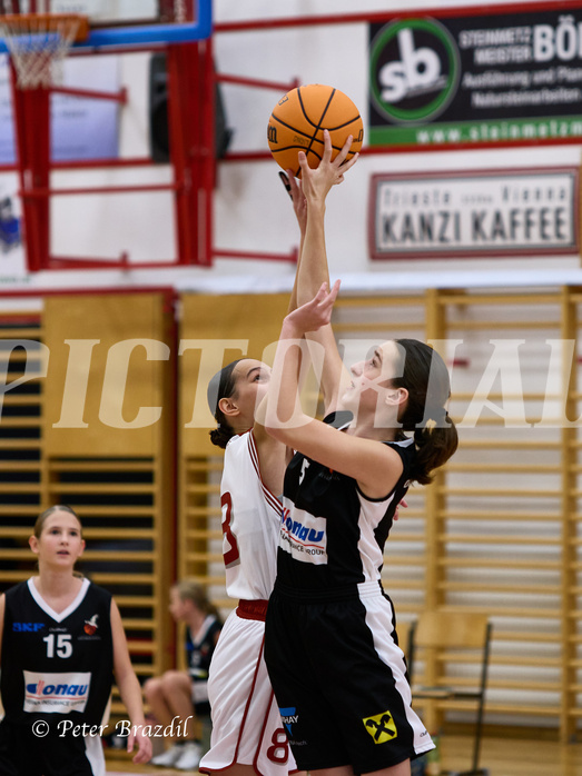 Basketball Superliga 2024/25, SLWU14 Traiskirchen Lionesses vs. DBK Steyrer Witches



