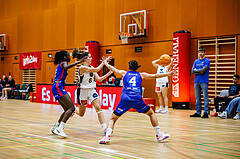 Basketball, Win2Day Basketball Damen Superliga 2024/25, Grunddurchgang 10.Runde, Vienna Timberwolves, UBSC DBBC Graz, Aleksandra Novakovic (8)