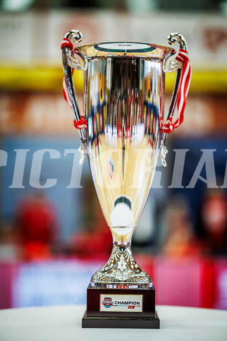 Basketball, Basketball Austria CUP 2023/24, Finale, Traiskirchen Lions, Flyers Wels, feature, Pokal