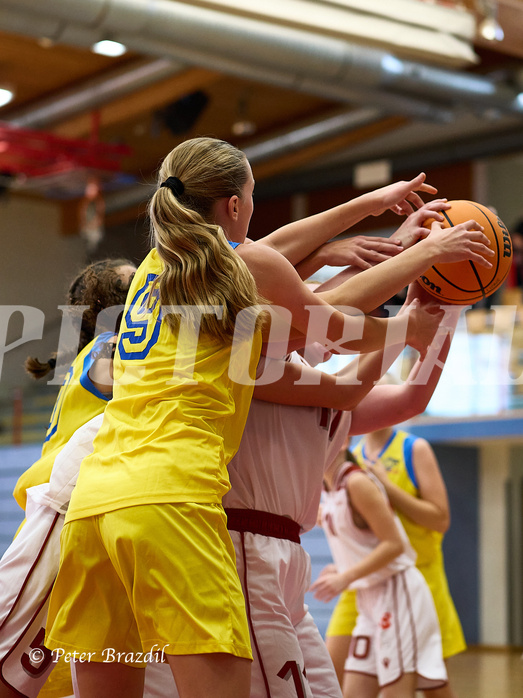 Basketball Superliga 2024/25, SLWU16 Traiskirchen Lionesses vs. UBBC Herzogenburg


