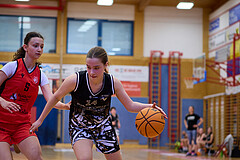 Basketball Superliga 2024/25, SLMU16 Traiskirchen Lionesses vs. VKL Vikings Kammer


