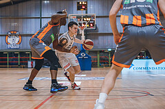 Basketball Basketball Superliga 2020/21, Grunddurchgang 16.Runde D.C. Timberwolves vs. Klosterneuburg Dukes
