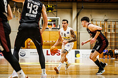 Basketball, Basketball Zweite Liga 2024/25, Grunddurchgang 17.Runde, Mattersburg Rocks, Mistelbach Mustangs, Petar Zivkovic (8)