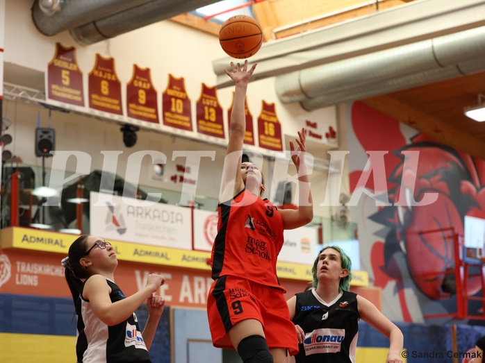 Basketball Superliga 2024/25, SLWU16 Traiskirchen Lionesses vs. DBK Steyrer Witch Cadets


