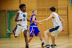 19.10.2024 Österreichischer Basketballverband 2024/25, SLMU14, Vienna Timberwolves vs. FCN Raiffeisen Baskets Wels

