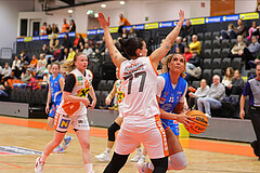 Basketball Damen Superliga 2023/24, Grunddurchgang 8.Runde BK Duchess Klosterneuburg vs. DB LZ OÖ



