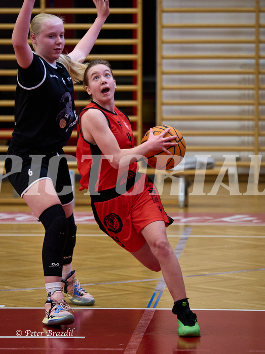 Basketball Superliga 2024/25, SLWU14 Traiskirchen Lionesses vs. Gratkorn Scorpions


