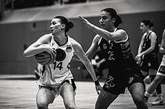 Basketball, Win2Day Basketball Damen Superliga 2023/24, Grunddurchgang 12.Runde, Vienna Timberwolves, Vienna United, Melanie Fischer (14)