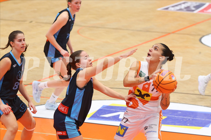 Basketball Damen Superliga 2024/25, Grunddurchgang 5.Runde BK Duchess Klosterneuburg vs. Vienna Timberwolves


