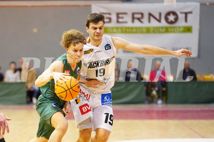 Basketball 2. Liga 2023/24, Grunddurchgang 15.Runde , Güssing  vs. Dornbirn


