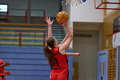 Basketball Superliga 2024/25, SLMU16 Traiskirchen Lionesses vs. VKL Vikings Kammer


