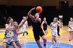02.03.2024, Graz, Raiffeisen Sportpark, Basketball Damen Superliga 2023/24, Grunddurchgang 14.Runde, UBI Holding Graz - Basket Flames Women ,  