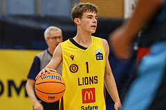 Basketball Zweite Liga 2024/25, Grunddurchgang 1.Runde Traiskirchen Lions NextGen vs. Vienna Timberwolves


