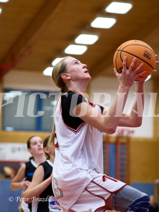 Basketball Superliga 2024/25, SLWU14 Traiskirchen Lionesses vs. DBK Steyrer Witches


