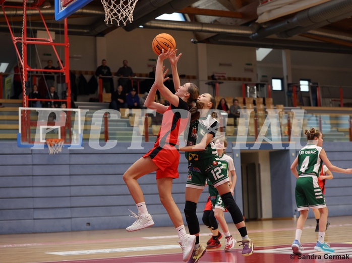 Basketball Superliga 2024/25, SLWU14 Traiskirchen Lionesses vs. UBI Graz


