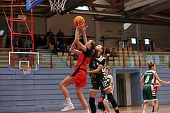 Basketball Superliga 2024/25, SLWU14 Traiskirchen Lionesses vs. UBI Graz


