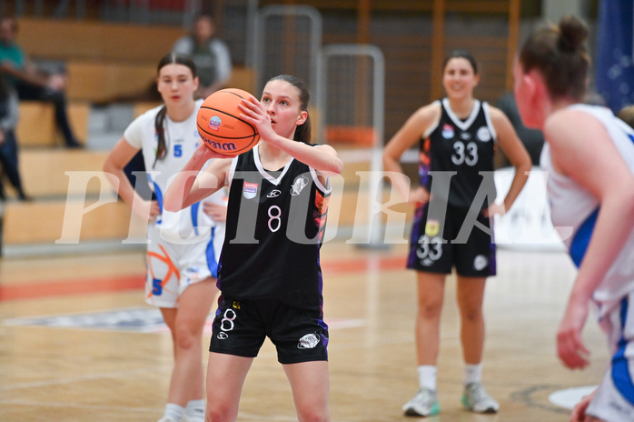 Basketball Superliga 2024/25, Grunddurchgang 9.Runde, DBB Wels vs Vienna United,

