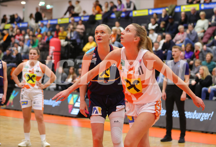 Basketball Damen Superliga 2023/24, Grunddurchgang Spiel 4 BK Duchess Klosterneuburg vs. SKN St.Pölten


