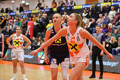 Basketball Damen Superliga 2023/24, Grunddurchgang Spiel 4 BK Duchess Klosterneuburg vs. SKN St.Pölten


