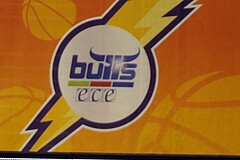 Basketball ABL 2015/16 Grunddurchgang 15.Runde Kapfenberg Bulls vs F