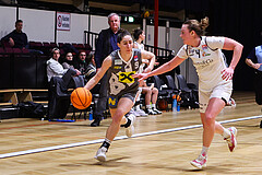 Basketball Damen Superliga 2023/24, Grunddurchgang, 13 Runde Basket Flames vs. Duchess Klosterneuburg


